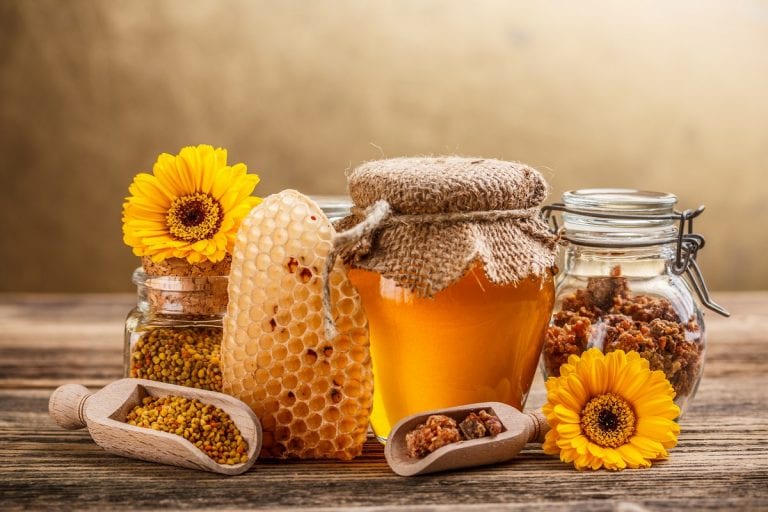 How beekeeping is made so important for farmers