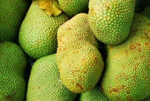 jack fruit